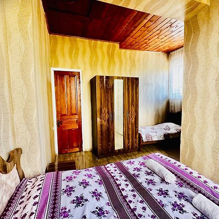 Guesthouse Kamelia Martvili Ngoại thất bức ảnh