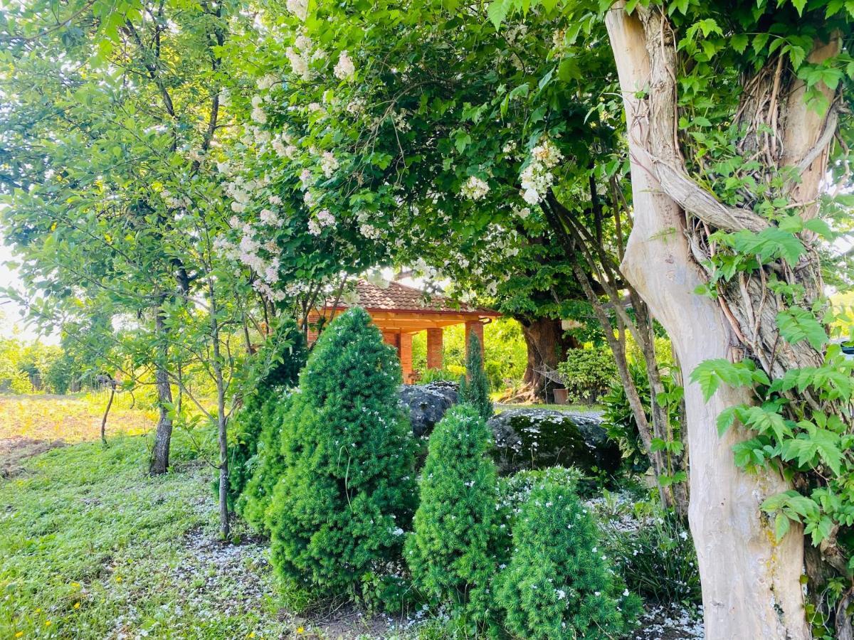 Guesthouse Kamelia Martvili Ngoại thất bức ảnh