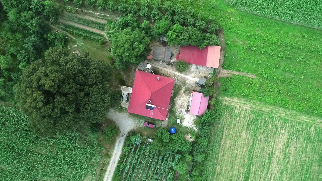 Guesthouse Kamelia Martvili Ngoại thất bức ảnh