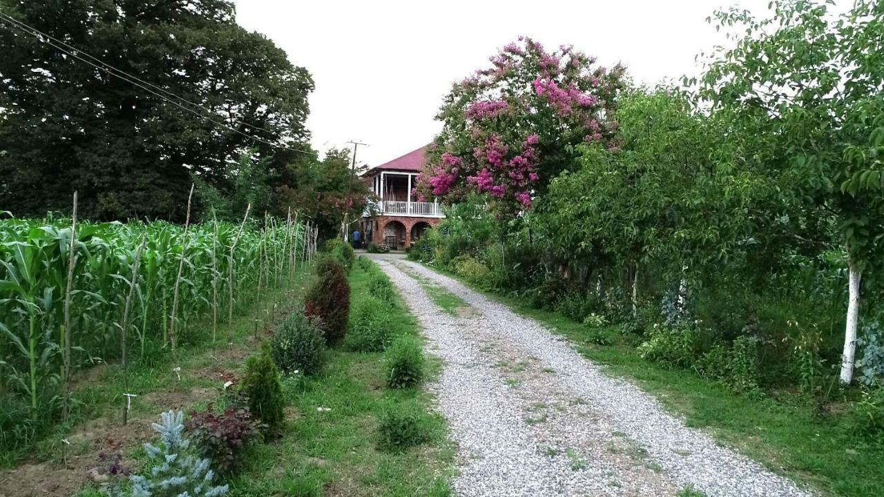Guesthouse Kamelia Martvili Ngoại thất bức ảnh