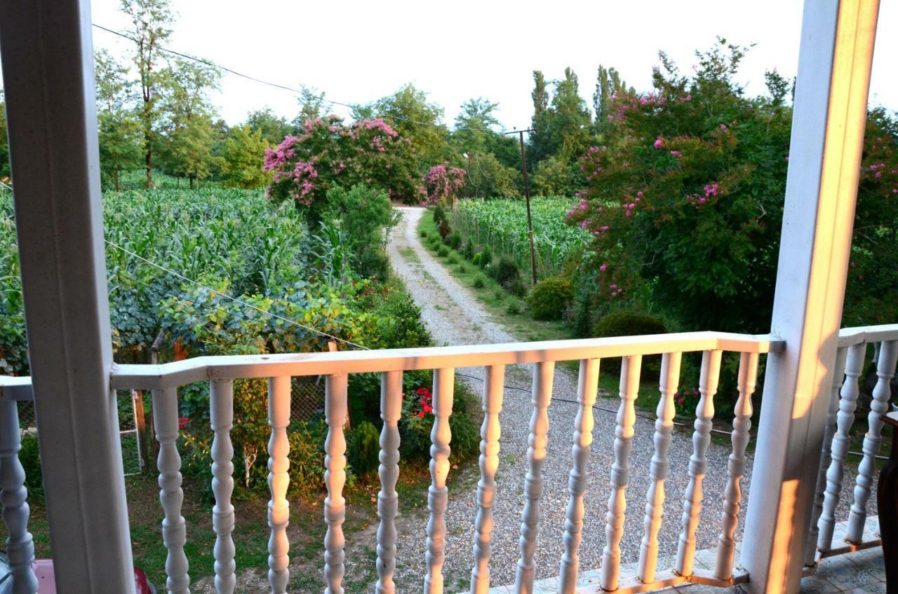 Guesthouse Kamelia Martvili Ngoại thất bức ảnh