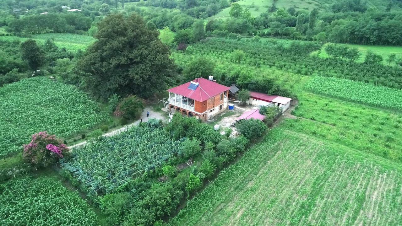 Guesthouse Kamelia Martvili Ngoại thất bức ảnh