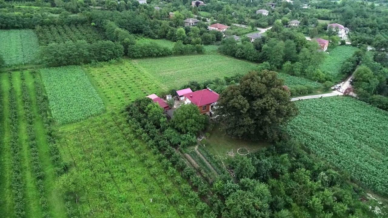 Guesthouse Kamelia Martvili Ngoại thất bức ảnh