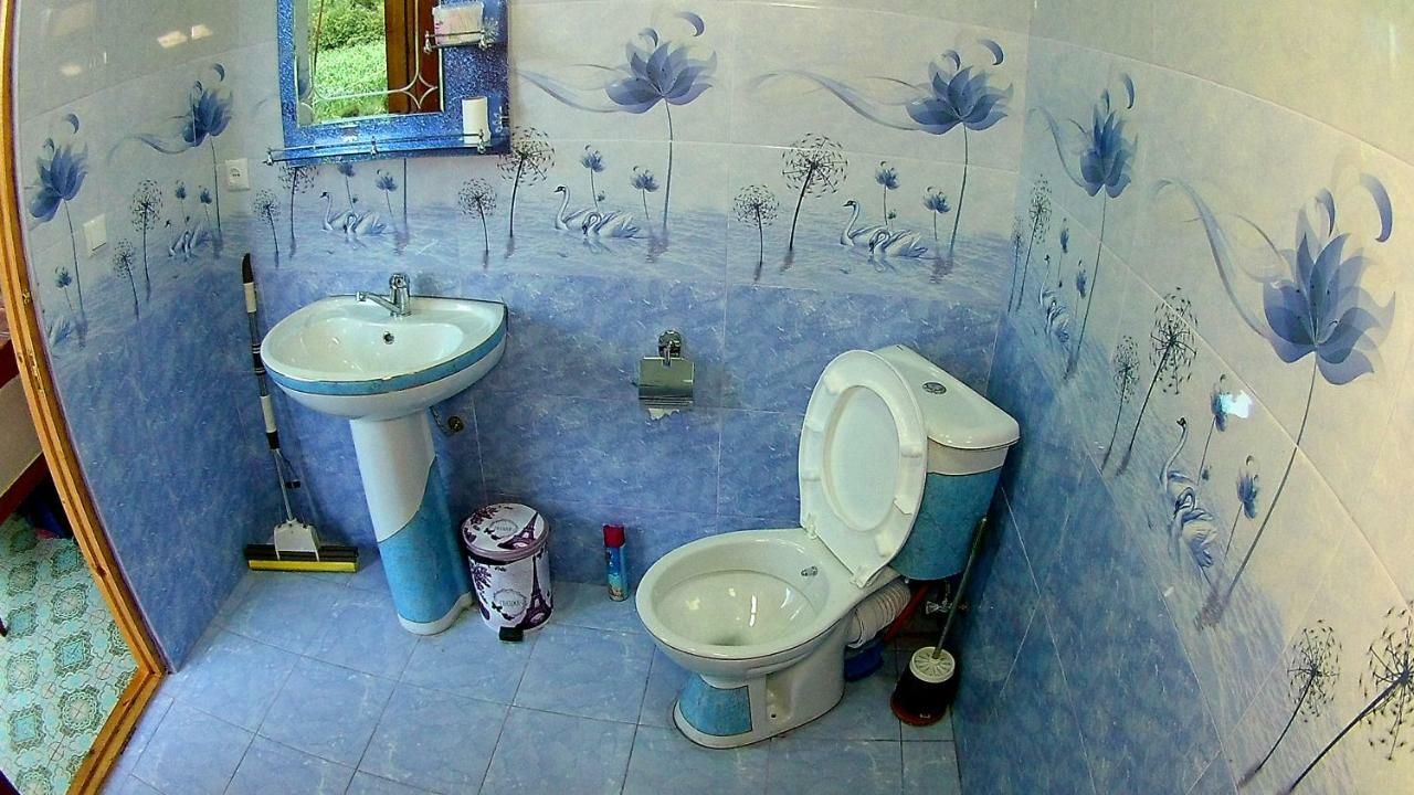 Guesthouse Kamelia Martvili Ngoại thất bức ảnh
